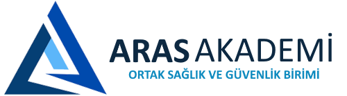 Aras Akademi